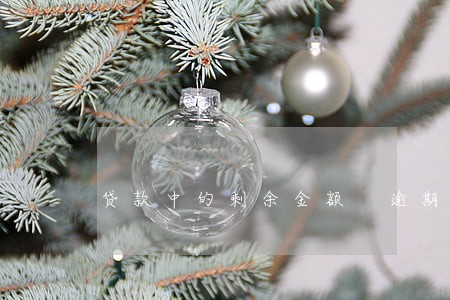 贷款中的剩余金额 逾期金额 贷款中的剩余金额 逾期金额